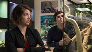 The Good Doctor: Stagione 2 x Episodio 7