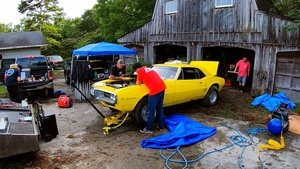 Roadkill Barn Find Firebird Rescue!