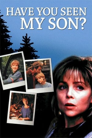 Poster Have You Seen My Son (1996)
