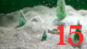 Last X-mas – 24 Tage für die Liebe: 1×15