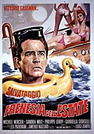 Poster Summer Frenzy 1964