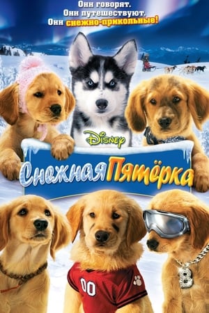 Снежная пятёрка 2008