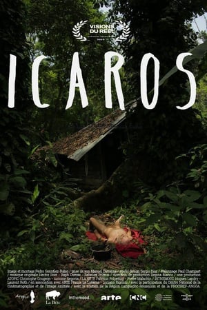 Image Ícaros