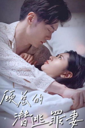 顾总的潜逃罪妻