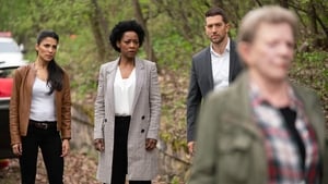 Ransom: 2×11