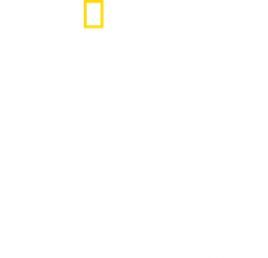 When Sharks Attack 360 — Logos 9