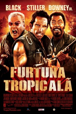 Image Furtuna tropicală