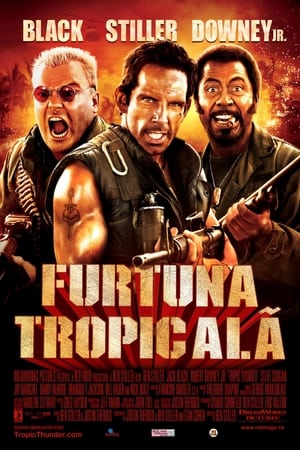 Poster Furtună tropicală 2008
