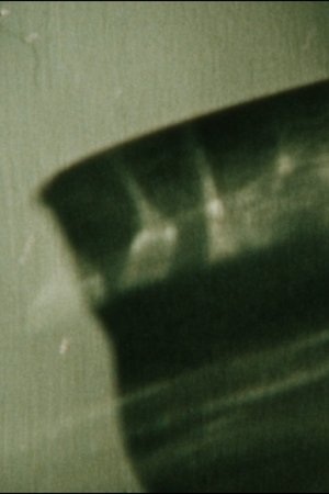 January Fragment