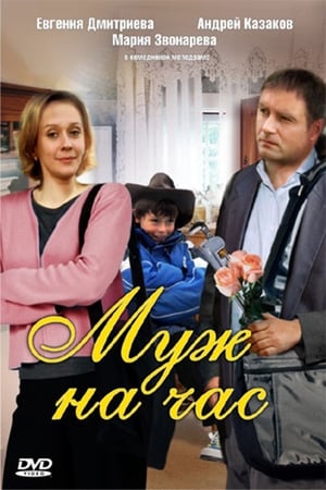 Poster Husband for an hour (2007)