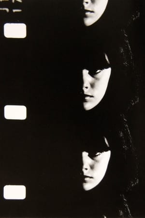 Poster Screen Test: Susan Bottomly (1966)