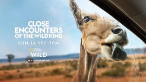 Close Encounters of the Wild Kind