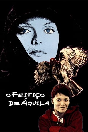 Poster A Mulher Falcão 1985
