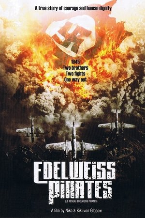 Poster The Edelweiss Pirates (2004)