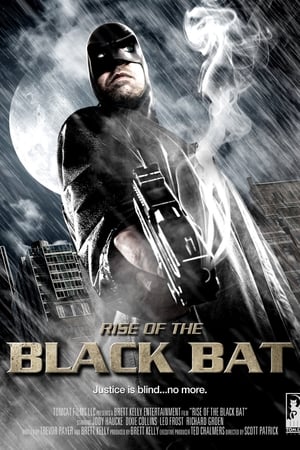 Poster Rise of the Black Bat (2012)