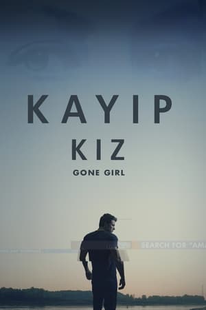 Kayıp Kız 2014