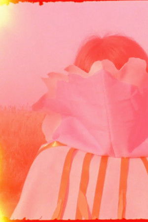 We Entered Through the Chimeline