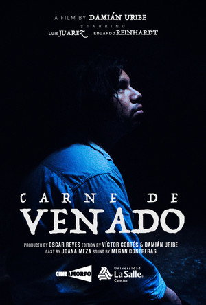 Carne de Venado