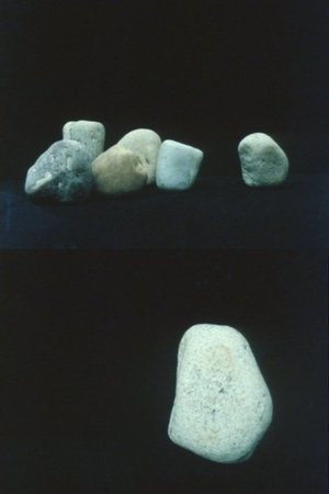 Rocks