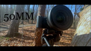 50mm