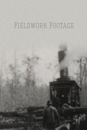 Fieldwork Footage poster