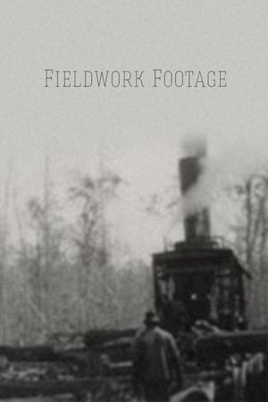 Image Fieldwork Footage