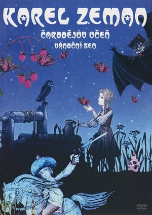 A Christmas Dream 9