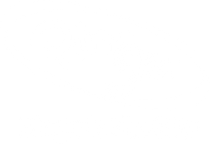 Pingu in the City — Logos 2