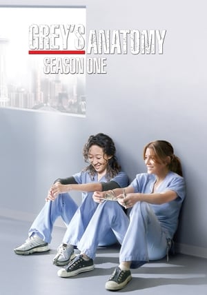 Grey's Anatomy: Season 1