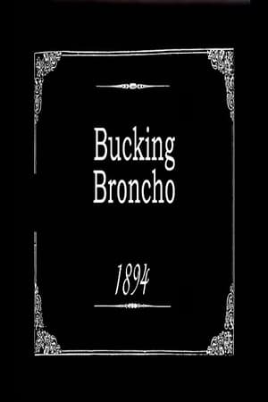 Image Bucking Broncho