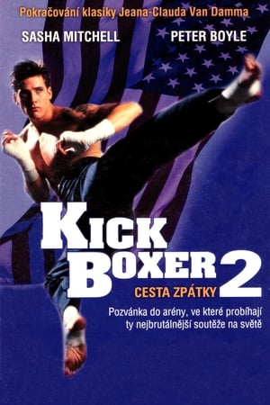 Poster Kickboxer 2: Cesta zpátky 1991