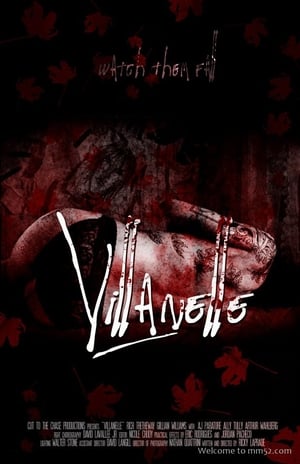 Poster Villanelle 2012