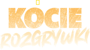 Big Cat Games — Logos 1
