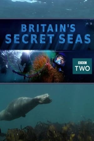 Britain's Secret Seas poster
