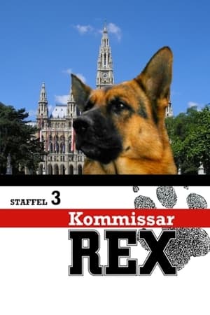 Kommissar Rex: Staffel 3