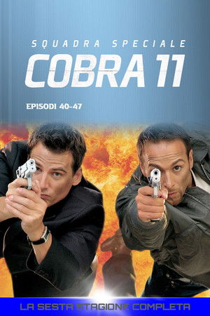 Squadra Speciale Cobra 11: Stagione 6