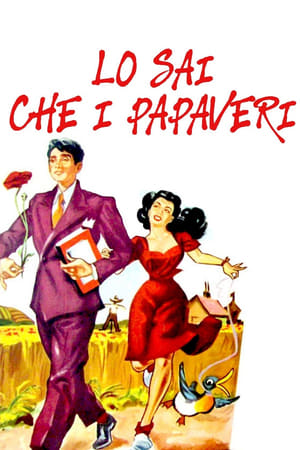 Poster Lo sai che i papaveri... 1952