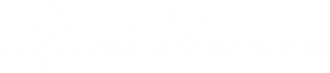 Pequeñas mentirosas — Logos 4