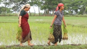 Bison Kaalamaadan (2025) ไบซัน นักสู้เลือดเดือด