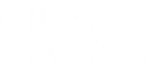 Cebimdeki Yabancı