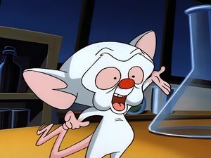 Pinky and the Brain It's Only a Paper World