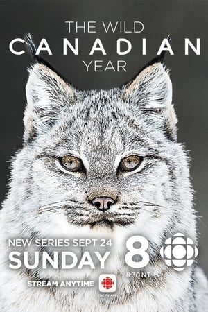 The Wild Canadian Year poster