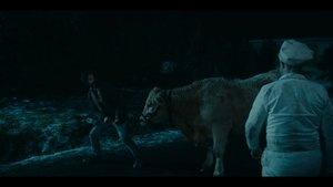 FROM Season 3 Episode 1