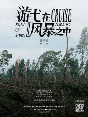 游弋在风暴之中