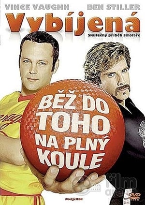 Poster Vybíjená 2004