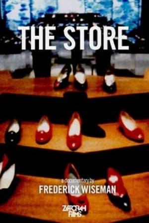 Image The Store - Grandi Magazzini