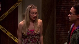 The Big Bang Theory 4 x Episodio 9