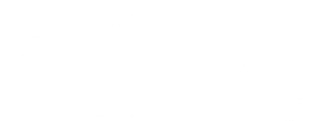 Ziwe — Logos 2
