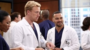 Grey’s Anatomy 12 x Episodio 2