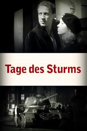 Poster Tage des Sturms (2003)
